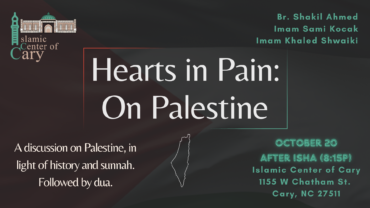Hearts In Pain: On Palestine